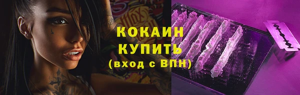 Альфа ПВП Верея