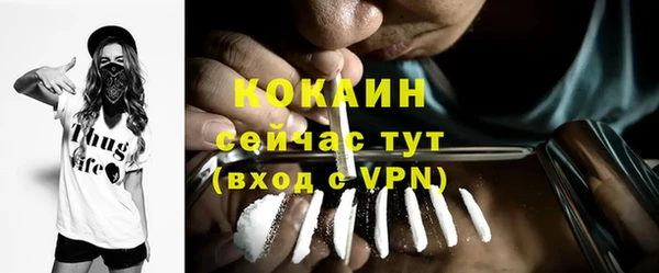 Альфа ПВП Верея