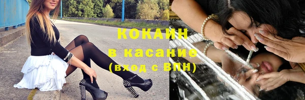 Альфа ПВП Верея