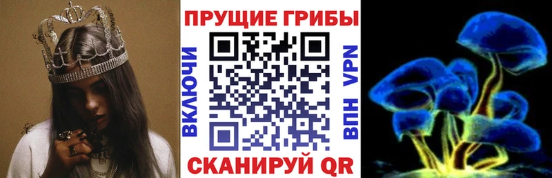 Купить где  Мантурово  Галлюциногенные грибы Psilocybe 